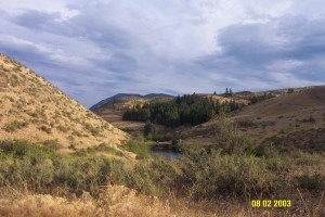 View down Scott Canyon