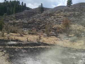 burnt ranch 8