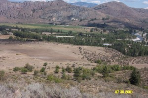 view down onto the Orchard 7-30-01