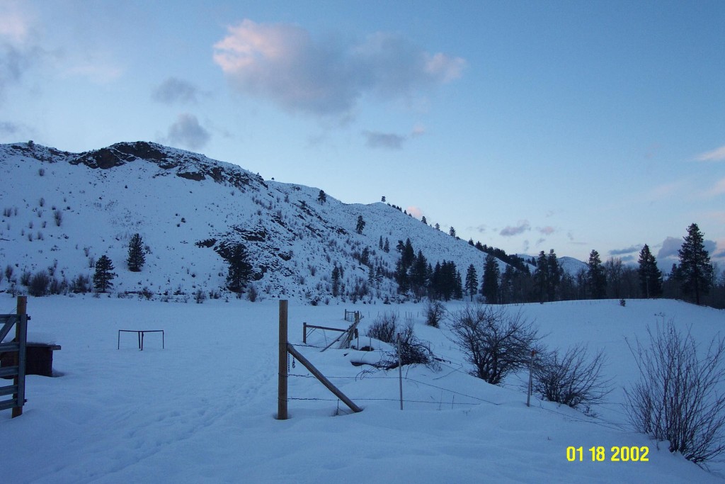 Winter on the Walking D Ranch